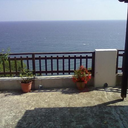 Apartament Pelion Orama Agios Ioannis  Zewnętrze zdjęcie