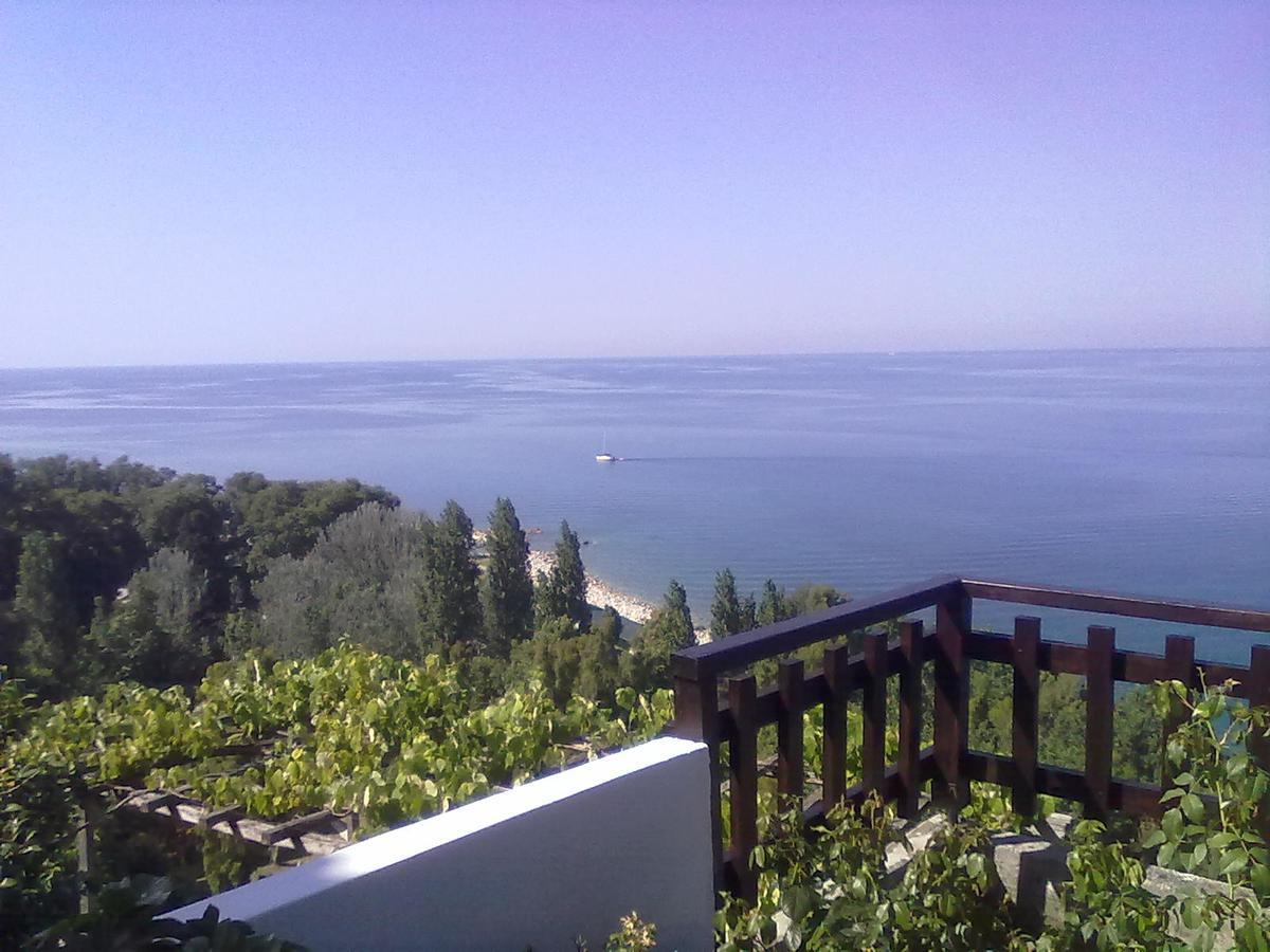 Apartament Pelion Orama Agios Ioannis  Zewnętrze zdjęcie
