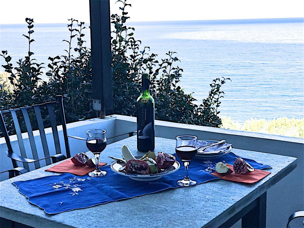 Apartament Pelion Orama Agios Ioannis  Zewnętrze zdjęcie