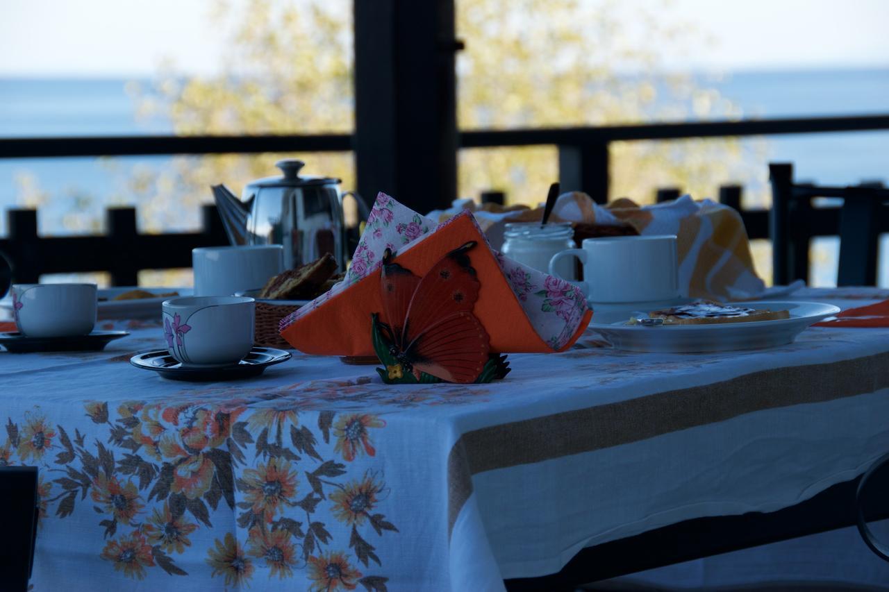 Apartament Pelion Orama Agios Ioannis  Zewnętrze zdjęcie