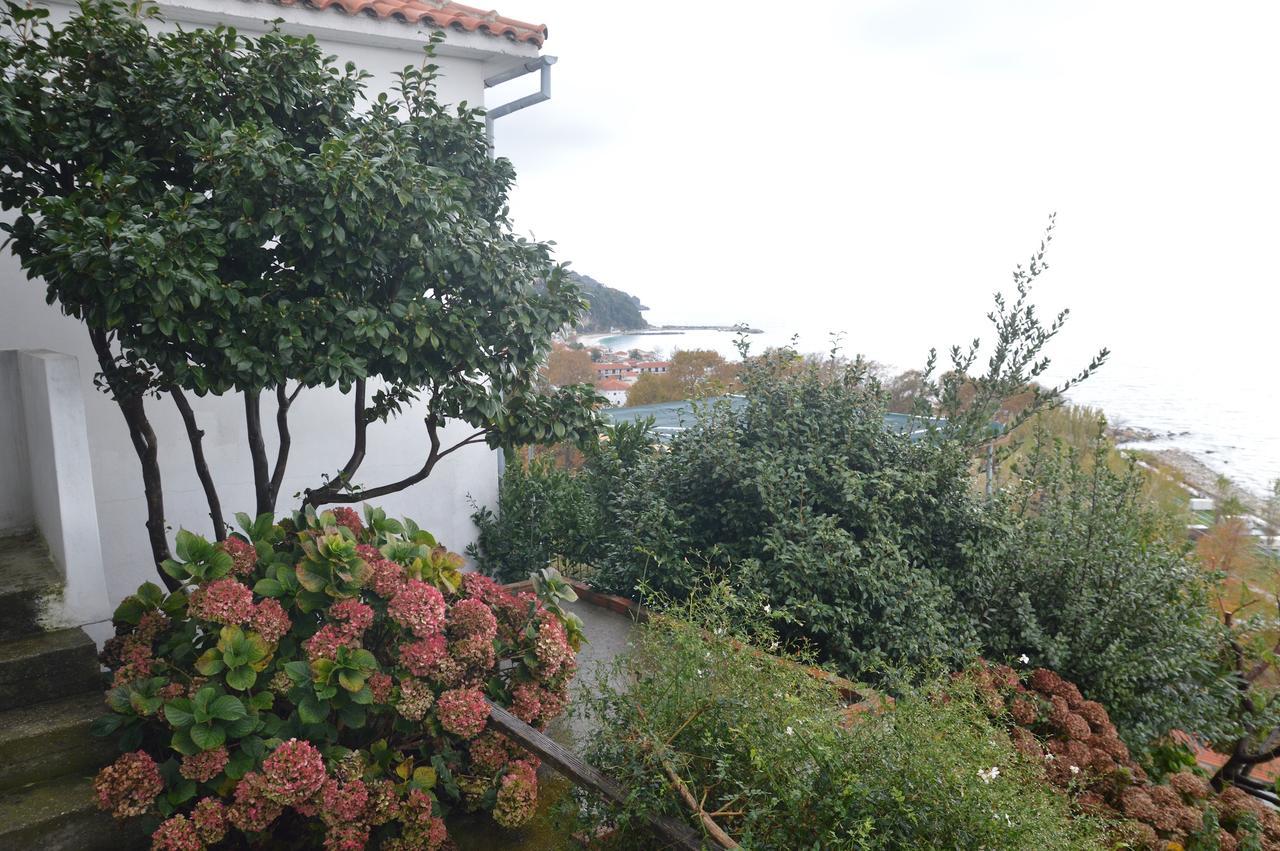 Apartament Pelion Orama Agios Ioannis  Zewnętrze zdjęcie